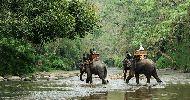 Chitwan