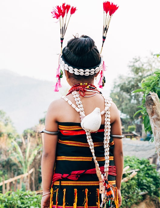 Hornbill Festival 