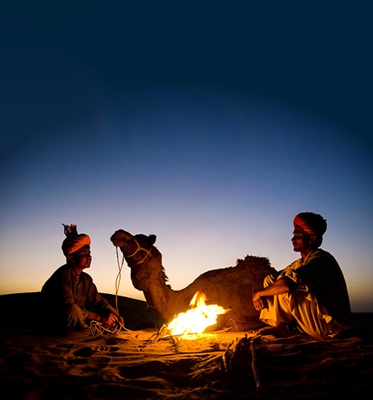 CAMEL SAFARIS